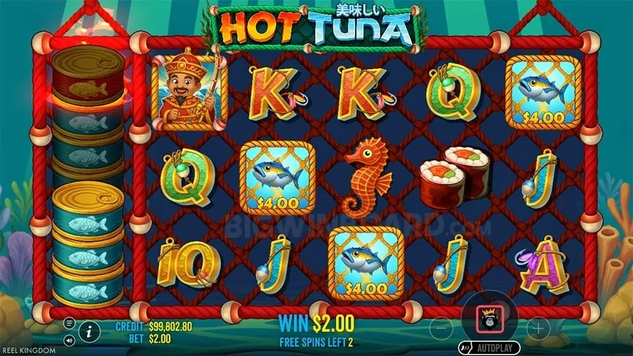 bingo plus login Avoiding Common Betting Mistakes